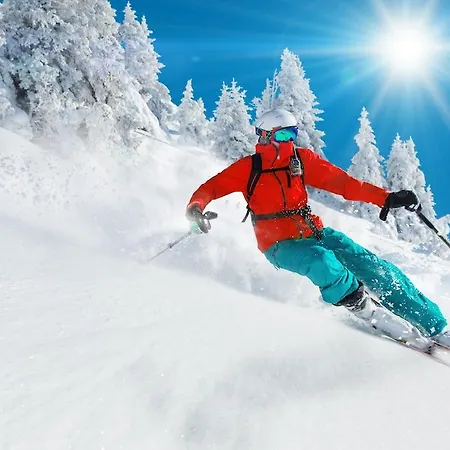 Konukevi Szarotka Zakopane