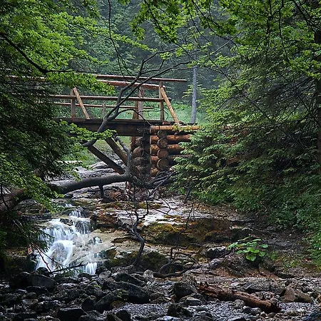 Szarotka Konukevi
