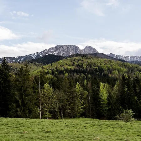 Szarotka 3*
